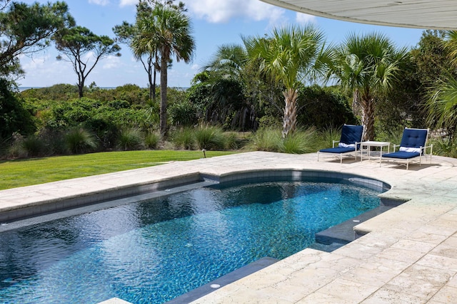 view of pool with a patio and a lawn