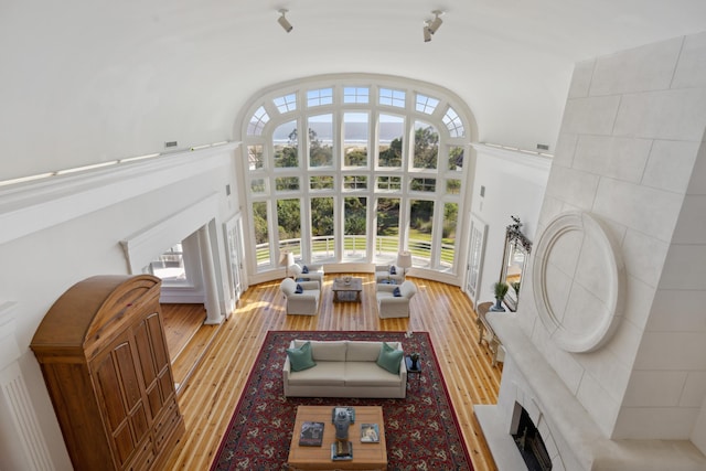 living room featuring light hardwood / wood-style floors and a wealth of natural light