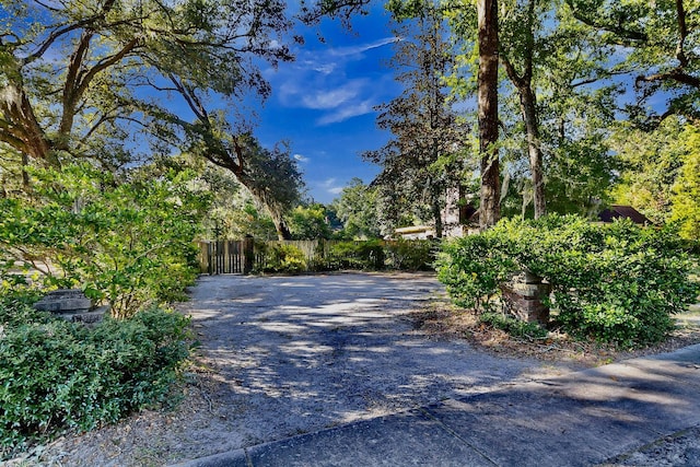 428 Carn St, Walterboro, SC 29488 - view of road featuring a gate and concrete driveway
