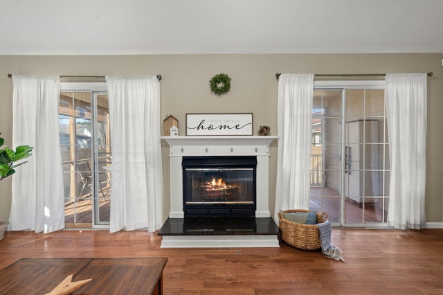 living room with hardwood / wood-style floors