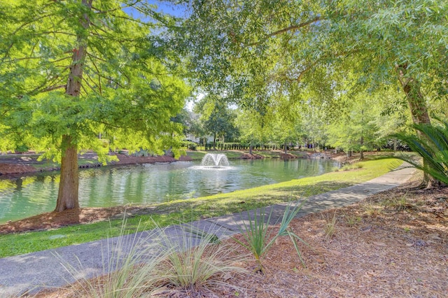 750 Navigators Run, Mount Pleasant, SC 29464 - water view