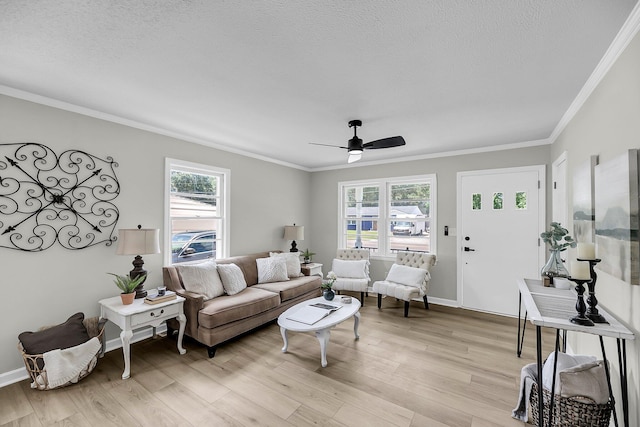 209 Pineview Dr, Goose Creek, SC 29445 - living area with plenty of natural light, light wood-style flooring, crown molding, and a textured ceiling