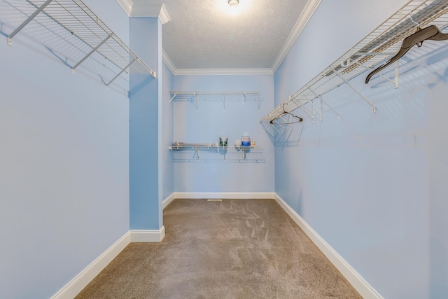 spacious closet with carpet flooring