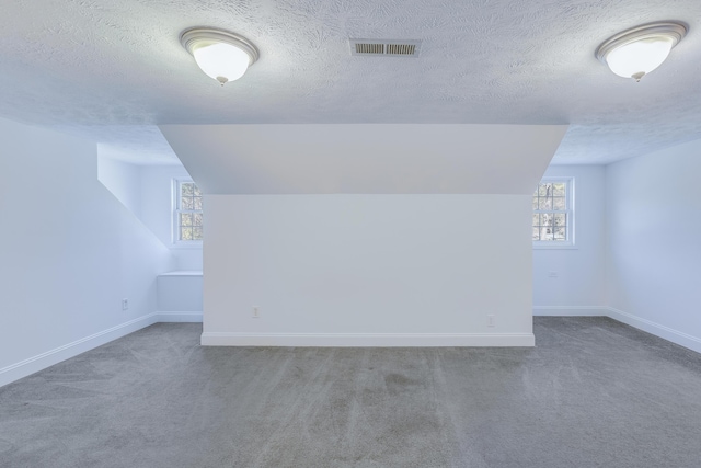 additional living space featuring visible vents, baseboards, and carpet