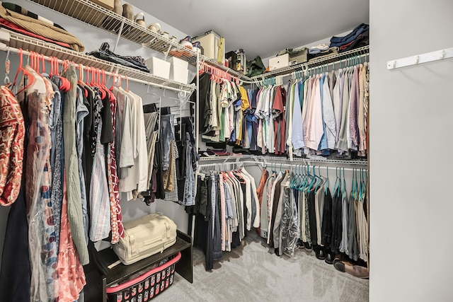 walk in closet featuring carpet floors