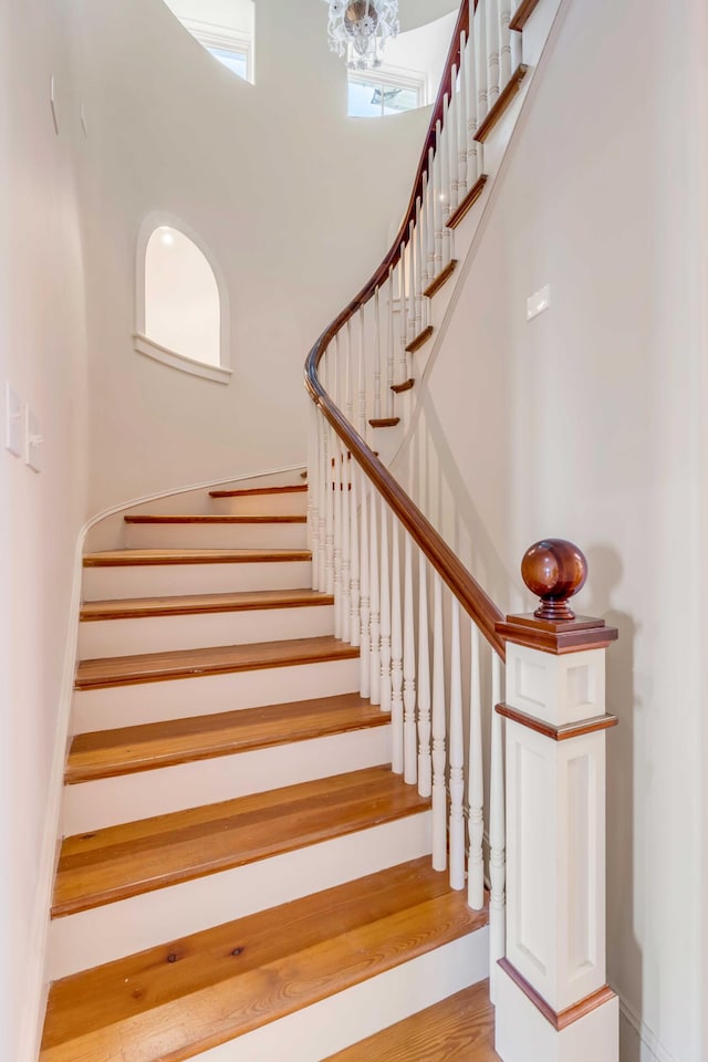 staircase with wood-type flooring