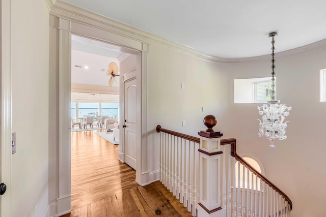 hallway with crown molding, light hardwood / wood-style flooring, an inviting chandelier, and plenty of natural light