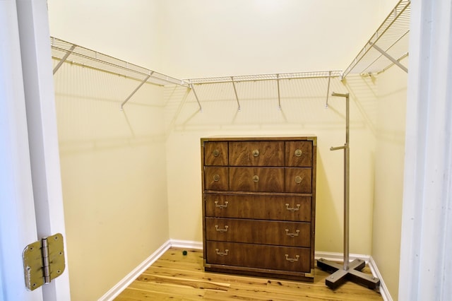 6159 Fieldstone Cir, Charleston, SC 29414 - walk in closet featuring light wood finished floors