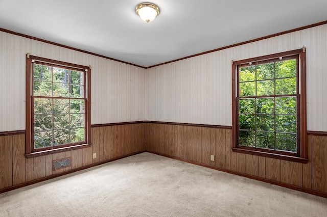 1019 Pinon Rd, North Augusta, SC 29841 - carpeted spare room with healthy amount of natural light, wainscoting, ornamental molding, and wooden walls