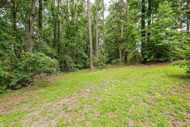1019 Pinon Rd, North Augusta, SC 29841 - view of grassy yard with a wooded view