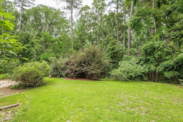 1019 Pinon Rd, North Augusta, SC 29841 - view of green lawn