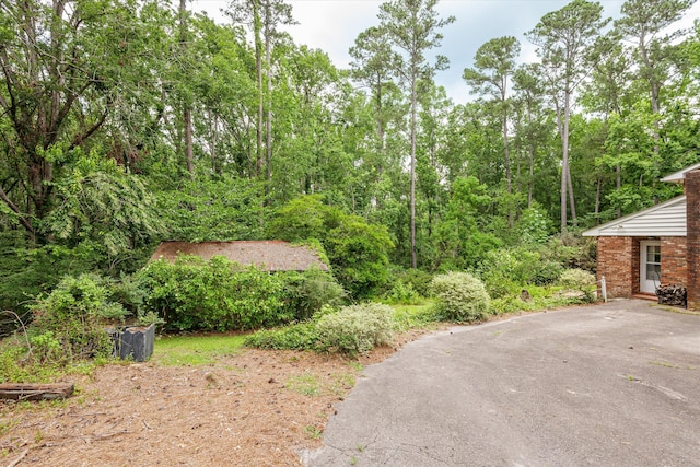 1019 Pinon Rd, North Augusta, SC 29841 - view of yard