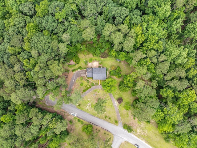 1019 Pinon Rd, North Augusta, SC 29841 - aerial overview of property's location