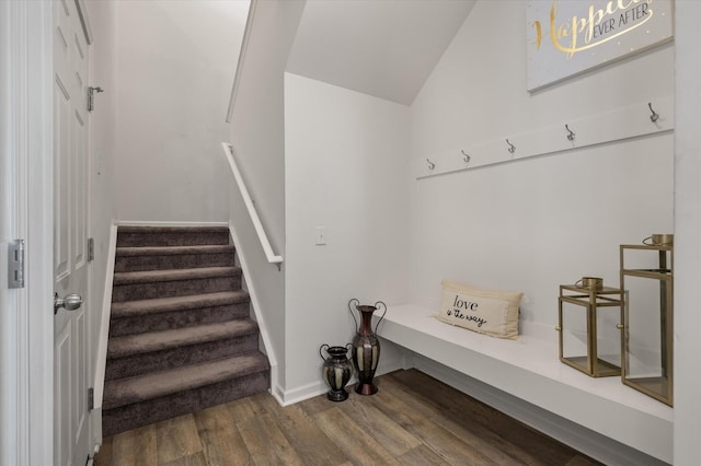 mudroom with lofted ceiling and wood-type flooring