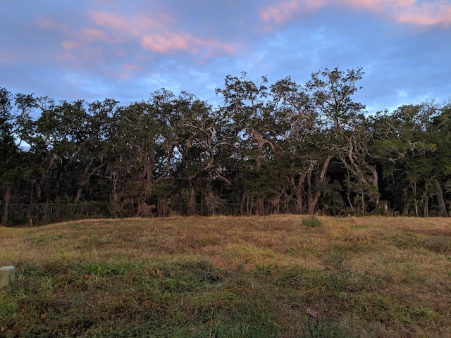 view of nature at dusk