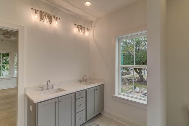 bathroom featuring wood-type flooring and dual bowl vanity