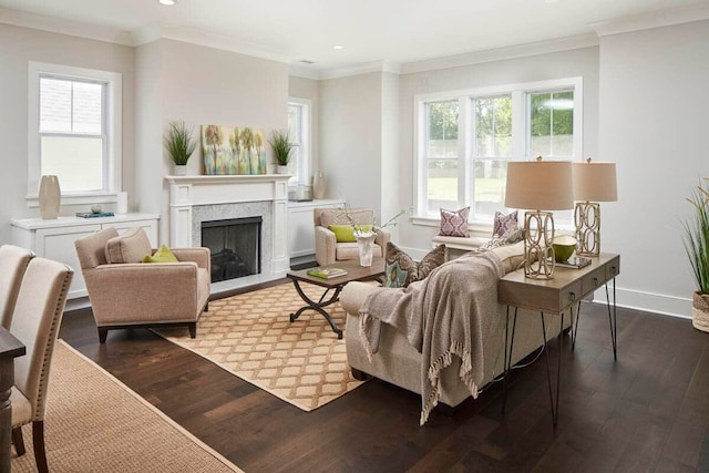 living room with ornamental molding, dark wood-type flooring, and a fireplace