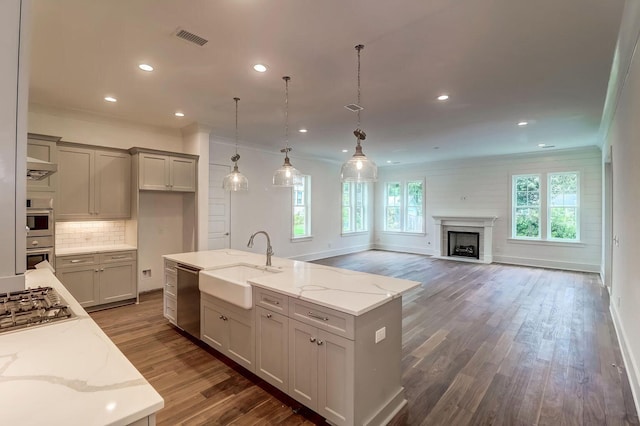 kitchen featuring dark hardwood / wood-style floors, stainless steel appliances, light stone countertops, a kitchen island with sink, and sink