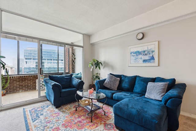 carpeted living room featuring a city view, a textured ceiling, and baseboards