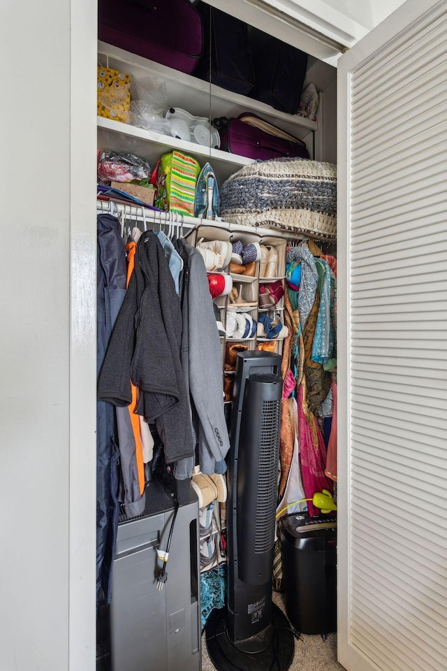 view of closet