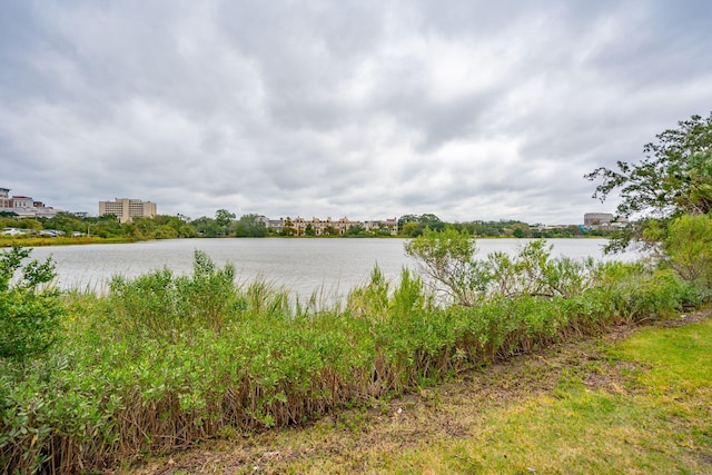 property view of water