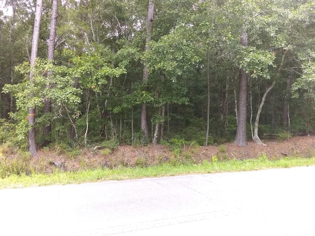 1427 Hamlin Rd, Mount Pleasant SC, 29466 land for sale