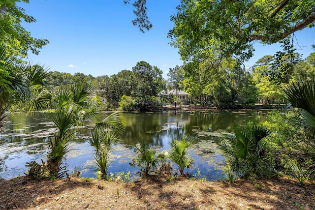 2938 Old Drake Dr, Seabrook Island, SC 29455 - water view