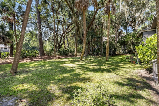 2938 Old Drake Dr, Seabrook Island, SC 29455 - view of green lawn