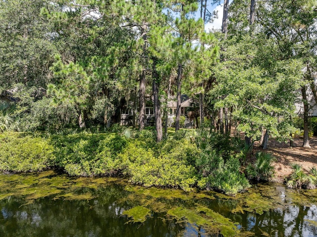 2938 Old Drake Dr, Seabrook Island, SC 29455 - water view
