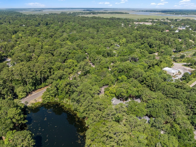 2938 Old Drake Dr, Seabrook Island, SC 29455 - aerial overview of property's location featuring a forest and a nearby body of water