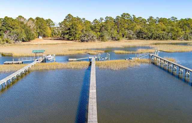 dock area with a water view