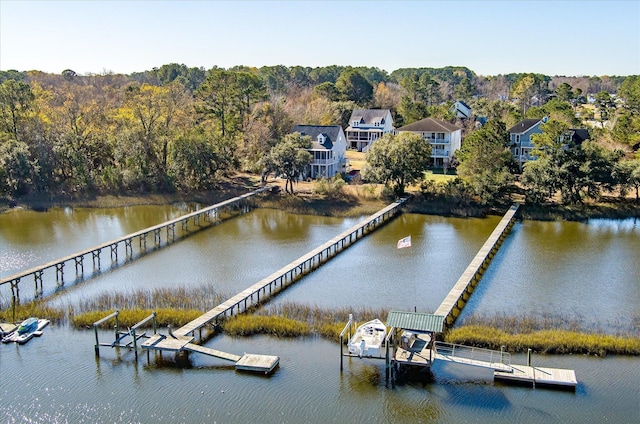 dock area with a water view