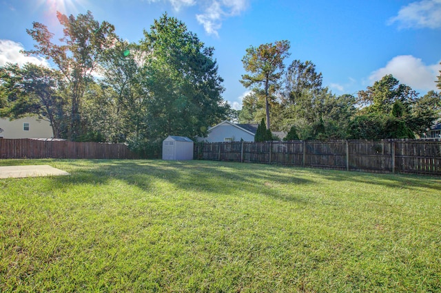 view of yard with a storage shed