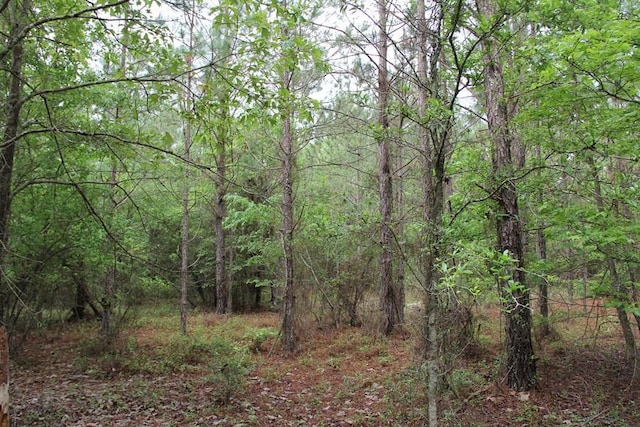 00 Stacey Bridge Rd, Orangeburg, SC 29118