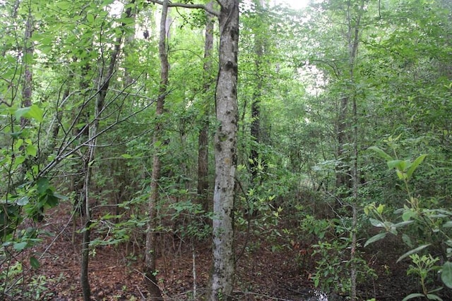 00 Stacey Bridge Rd, Orangeburg, SC 29118