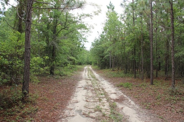 00 Stacey Bridge Rd, Orangeburg, SC 29118