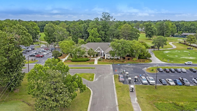 bird's eye view