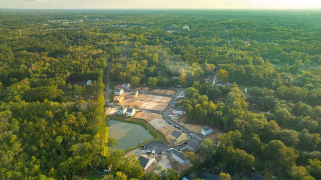 191 E Pinckney St, Summerville, SC 29485 - view of property location with a heavily wooded area, a nearby body of water, and property boundaries highlighted