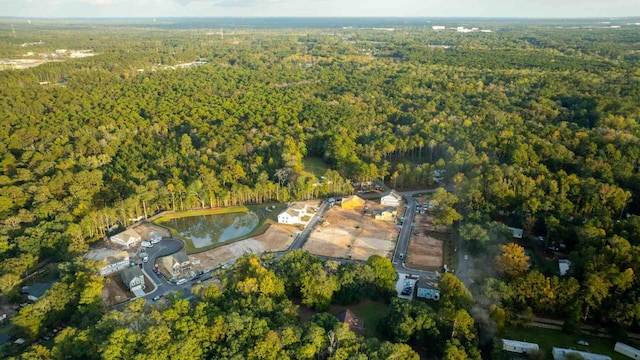 191 E Pinckney St, Summerville, SC 29485 - aerial overview of property's location with a forest