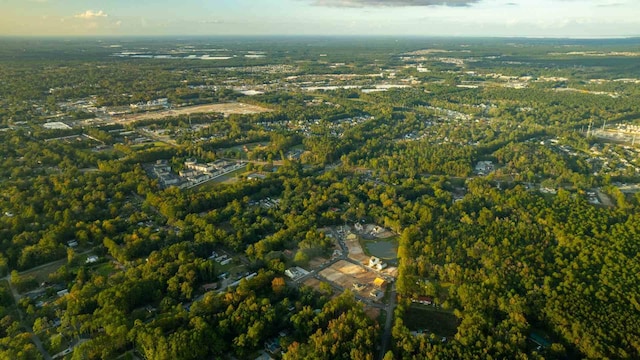 191 E Pinckney St, Summerville, SC 29485 - aerial overview of property's location with a forest