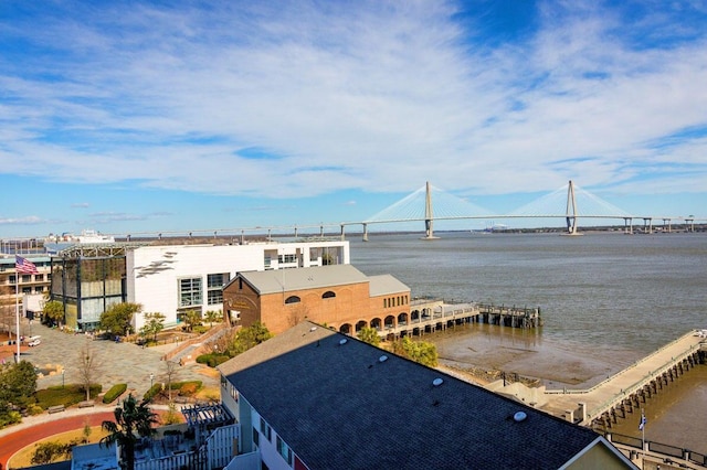 330 Concord St Unit 8E, Charleston, SC 29401 - water view