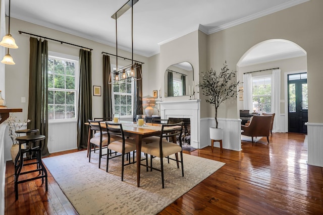 dining room featuring crown molding, dark wood-type flooring, and a healthy amount of sunlight