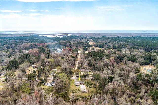 drone / aerial view of a forest and a nearby body of water