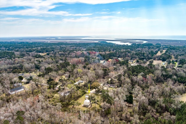 drone / aerial view of a forest and a nearby body of water