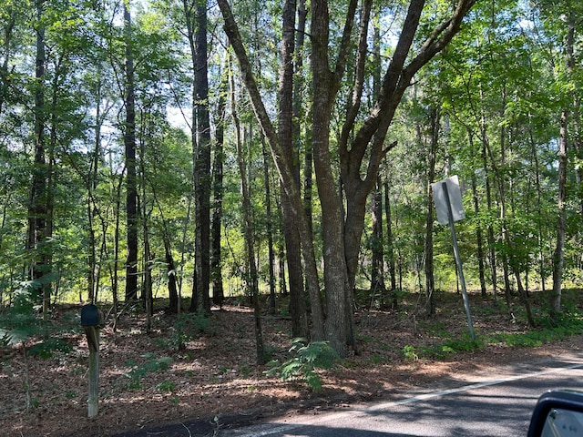 1 Martin St, Ravenel SC, 29470 land for sale