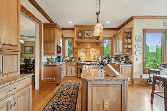 2834 Parkers Landing Rd, Mount Pleasant, SC 29466 - kitchen with open shelves, stainless steel appliances, an island with sink, light wood-style floors, and plenty of natural light