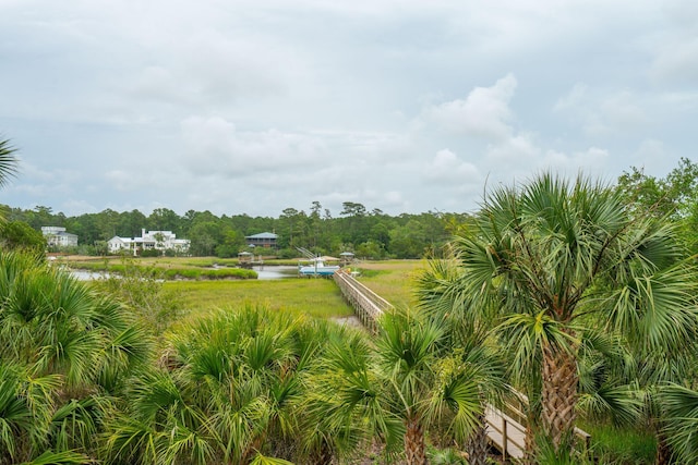 2834 Parkers Landing Rd, Mount Pleasant, SC 29466 - view of yard with a water view