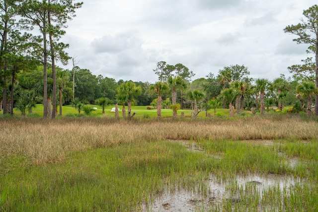2834 Parkers Landing Rd, Mount Pleasant, SC 29466 - view of wooded area