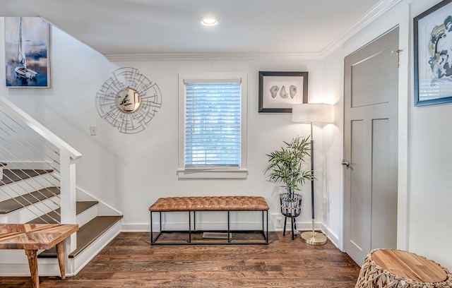 interior space featuring dark hardwood / wood-style flooring and ornamental molding