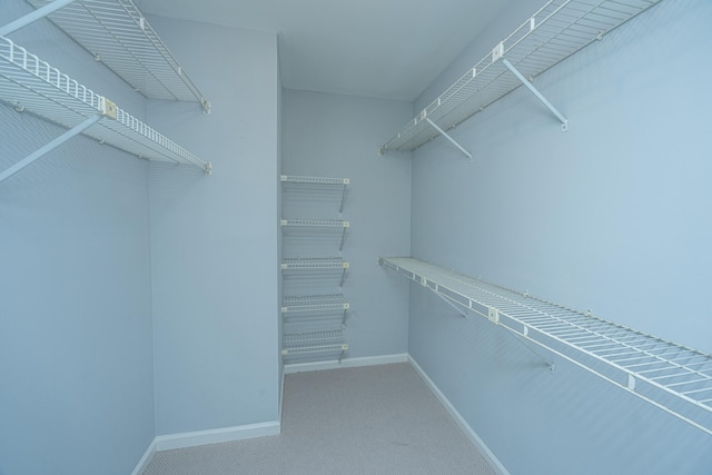 spacious closet with carpet